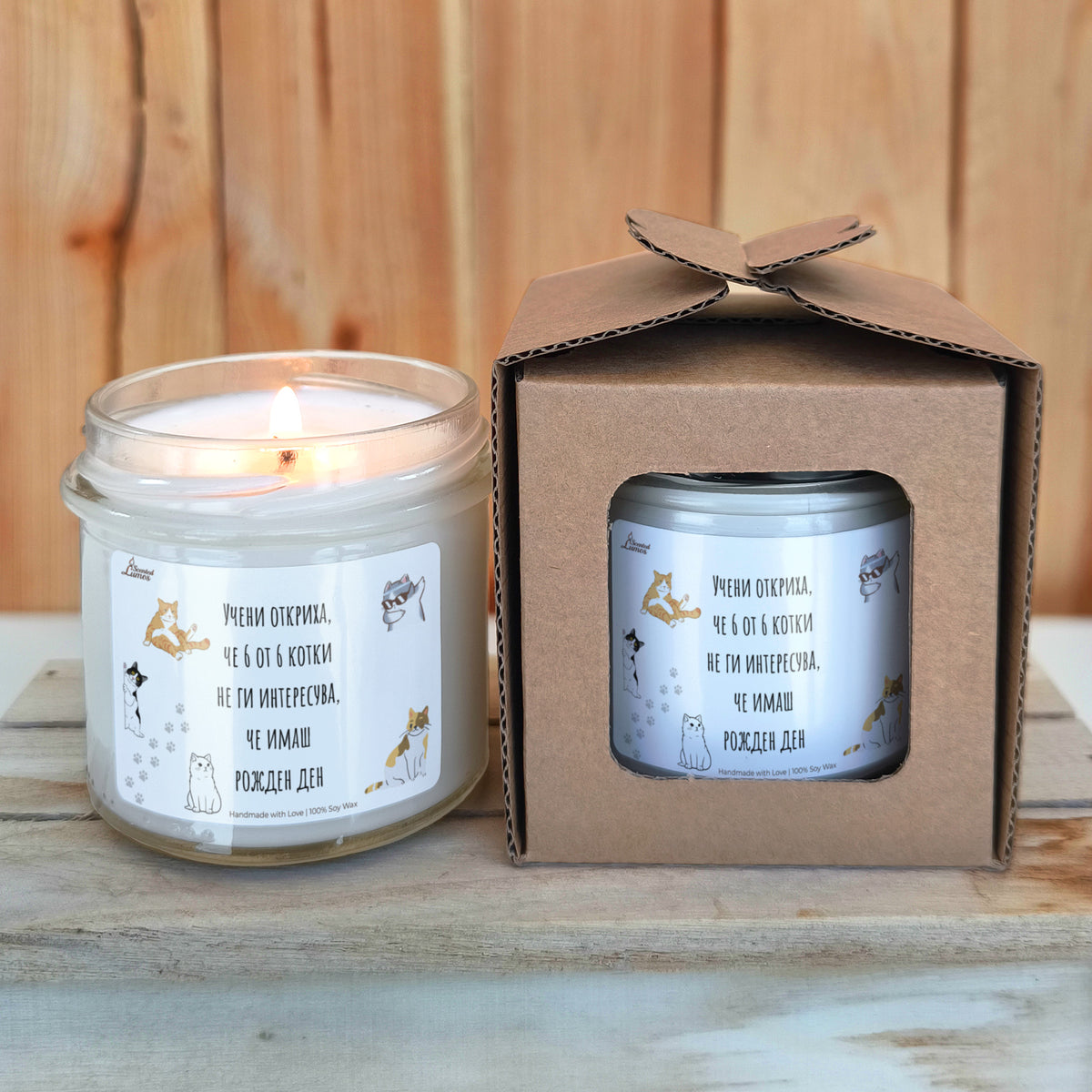 Учени откриха, че 6 от 6 котки не ги интересува, че имаш рожден ден Ароматна соева свещ
