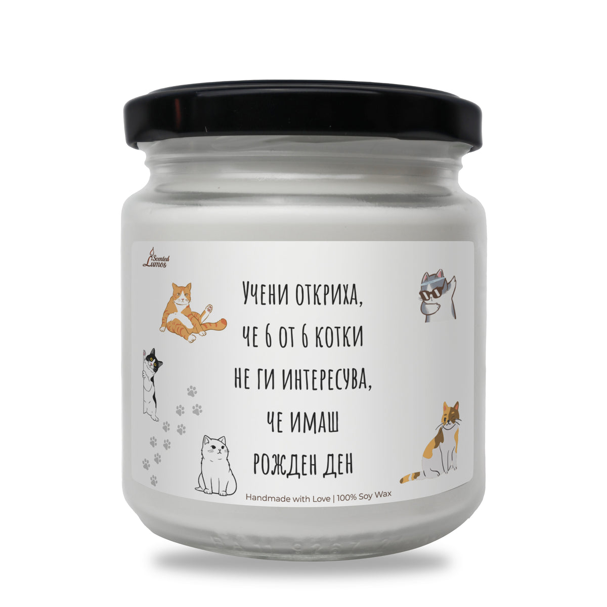 Учени откриха, че 6 от 6 котки не ги интересува, че имаш рожден ден Ароматна соева свещ