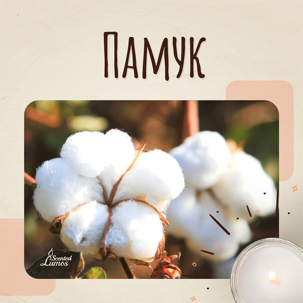 Аромат за свещи