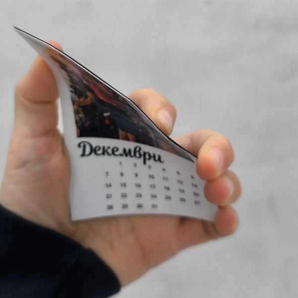 Кралски портрет на вашият домашен любимец (3)