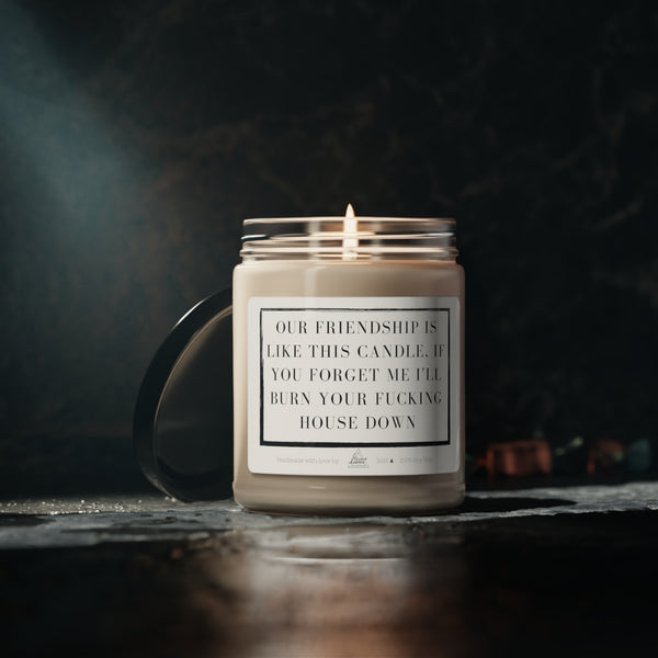 Our friendship is like this candle Scented Soy Candle