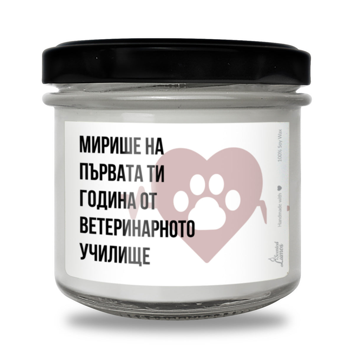Мирише на първата ти година от ветеринарното училище Ароматна Соева Свещ