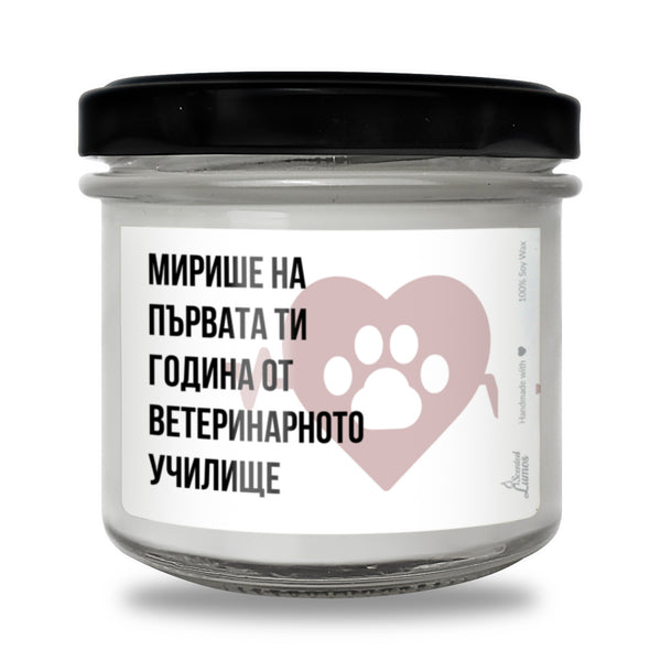 Мирише на първата ти година от ветеринарното училище Ароматна Соева Свещ