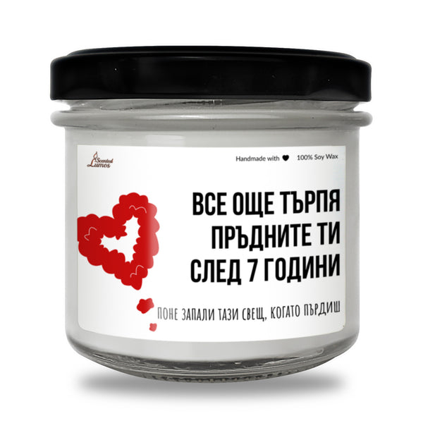 Все още търпя пръдните ти след 7 години Ароматна Соева Свещ