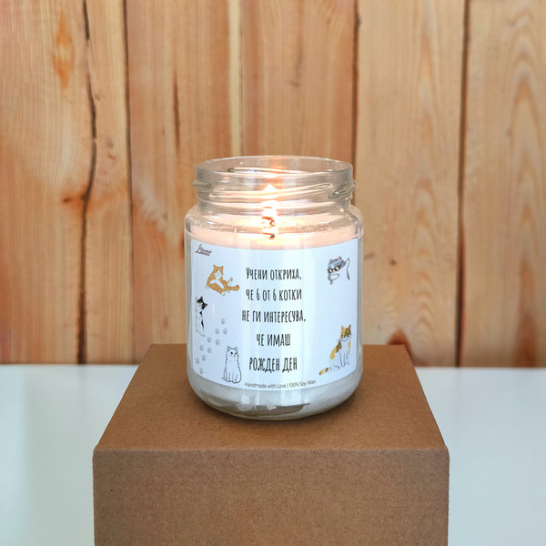Учени откриха, че 6 от 6 котки не ги интересува, че имаш рожден ден Ароматна соева свещ