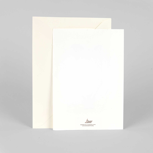 a blank card with a white envelope